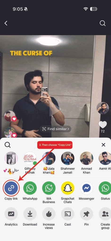 SnapTik TikTok slideshow downloader