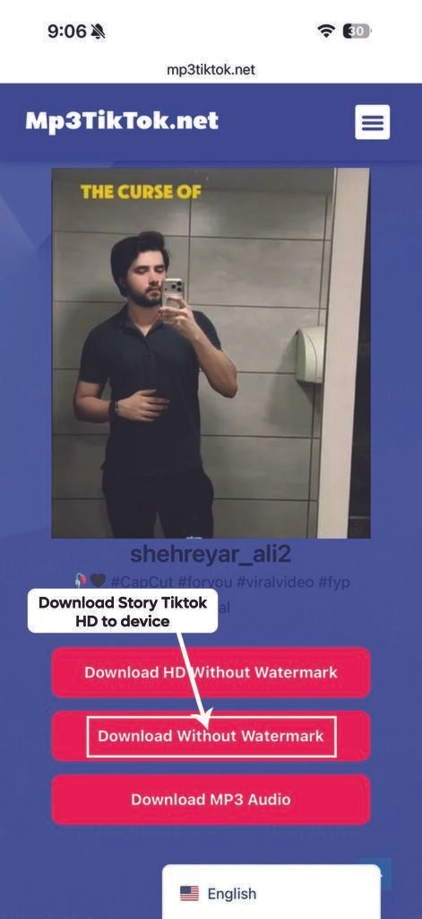 TikTok Story Downloader process